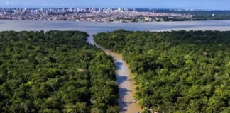 Como a revitalização urbana sustentável da orla de Belém integra o desenvolvimento socioeconômico e a preservação da cultura ribeirinha amazônica