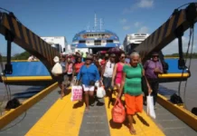 Como a clássica rota fluvial entre Belém e Marajó revela o intrigante universo dos búfalos nadadores nos campos alagados