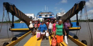 Como a clássica rota fluvial entre Belém e Marajó revela o intrigante universo dos búfalos nadadores nos campos alagados