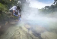 Como o lendário rio fervente da Amazônia atinge temperaturas de noventa graus e desafia os limites da biodiversidade tropical