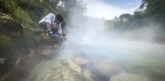 Como o lendário rio fervente da Amazônia atinge temperaturas de noventa graus e desafia os limites da biodiversidade tropical