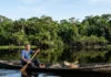 Como o manejo sustentável do pirarucu em Mamirauá multiplicou a renda comunitária e virou modelo global de conservação