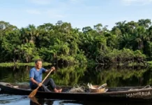 Como o manejo sustentável do pirarucu em Mamirauá multiplicou a renda comunitária e virou modelo global de conservação