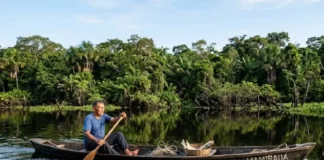 Como o manejo sustentável do pirarucu em Mamirauá multiplicou a renda comunitária e virou modelo global de conservação