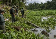 A Nova fronteira da ciência revela espécies desconhecidas e segredos da Biodiversidade