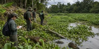 A Nova fronteira da ciência revela espécies desconhecidas e segredos da Biodiversidade