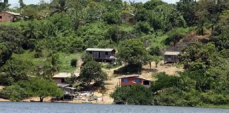 Comunidades quilombolas do Pará salvaguardam tradições de 300 anos e consolidam o turismo de vivência como ferramenta de resistência cultural e econômica Comunidades quilombolas do Pará salvaguardam tradições de 300 anos e consolidam o turismo de vivência como ferramenta de resistência cultural e econômica