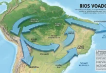 Rios voadores da Amazônia transportam mais água pelo ar do que o volume total descarregado pelo Rio Amazonas