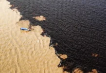 A fronteira líquida da Amazônia a física e a química por trás do Encontro das Águas entre os rios Negro e Solimões