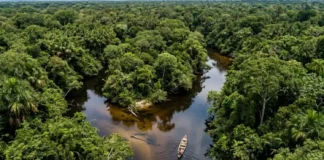 A junção tupi de "canoa" e "caminho" funciona como um código hidrográfico preciso que dita a navegabilidade e a sobrevivência na Amazônia. A junção tupi de "canoa" e "caminho" funciona como um código hidrográfico preciso que dita a navegabilidade e a sobrevivência na Amazônia.