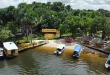 A engrenagem do turismo comunitário e como as vivências ribeirinhas no Tapajós transformam a rotina da floresta em patrimônio cultural