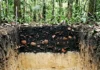 O ouro negro da floresta como a Terra Preta de Índio mantém sua fertilidade milenar graças ao biocarvão e fragmentos de cerâmica