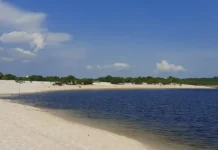 Como o vanguardista turismo de base comunitária no Rio Arapiuns preserva praias fluviais e gera renda sem desmatar a floresta