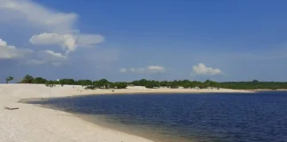 Como o vanguardista turismo de base comunitária no Rio Arapiuns preserva praias fluviais e gera renda sem desmatar a floresta Como o vanguardista turismo de base comunitária no Rio Arapiuns preserva praias fluviais e gera renda sem desmatar a floresta