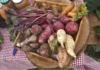 Como históricos quilombos no interior do Pará oferecem vivência cultural profunda com culinária tradicional e saberes de trezentos anos