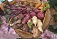 Como históricos quilombos no interior do Pará oferecem vivência cultural profunda com culinária tradicional e saberes de trezentos anos