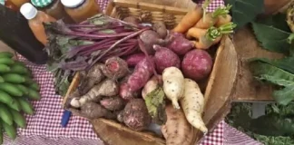 Como históricos quilombos no interior do Pará oferecem vivência cultural profunda com culinária tradicional e saberes de trezentos anos Como históricos quilombos no interior do Pará oferecem vivência cultural profunda com culinária tradicional e saberes de trezentos anos