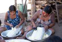 Mulheres lideram nova geração de negócios da sociobiodiversidade na Amazônia Mulheres indígenas realizam o beneficiamento de matérias-primas da floresta em atividade ligada à produção comunitária e à valorização de conhecimentos tradicionais (Foto: André+Carioba)