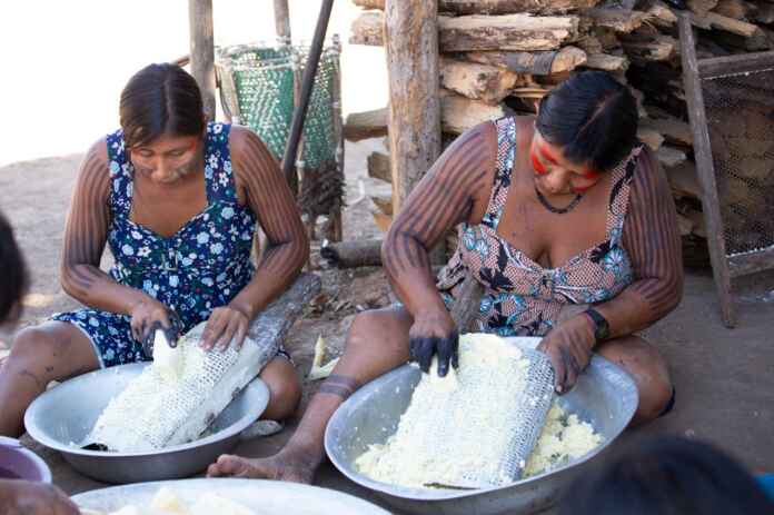 Mulheres indígenas realizam o beneficiamento de matérias-primas da floresta em atividade ligada à produção comunitária e à valorização de conhecimentos tradicionais (Foto: André+Carioba)
