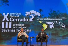 Do Cerrado à África: ciência busca produzir alimentos em clima extremo Pesquisadores em painel do Simpósio Cerrado e Savanas Tropicais, da Embrapa