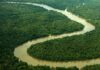 Chamada de R$ 107,1 milhões vai financiar pesquisa na Amazônia Vista aérea de um rio sinuoso em meio à floresta amazônica