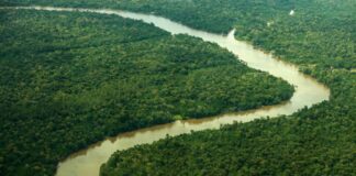 Chamada de R$ 107,1 milhões vai financiar pesquisa na Amazônia Vista aérea de um rio sinuoso em meio à floresta amazônica