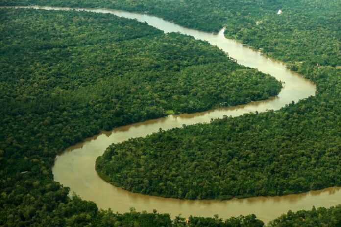 Vista aérea de um rio sinuoso em meio à floresta amazônica