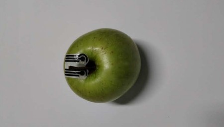 Agricultura do Futuro: Sensores Biodegradáveis da USP Monitoram Plantas em Tempo Real e Detectam Pesticidas 1 photo
