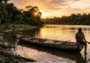 O raro modelo de turismo que está salvando a floresta e gerando renda sem destruir os recursos da Amazônia Uma fotografia documental em estilo cinematográfico captura a atmosfera serena do fim de tarde no Rio Tapajós, na Amazônia. No primeiro plano à direita, uma canoa de madeira envelhecida, com detalhes em tinta branca e o nome "Aruanã" visível na lateral, está ancorada próxima à margem de terra e galhos secos. Um homem ribeirinho está sentado na extremidade da embarcação, segurando um remo de madeira, com o olhar direcionado ao horizonte. A composição utiliza a técnica de contra-luz durante a hora de ouro, com o sol se pondo atrás das copas das árvores na margem esquerda, banhando toda a cena com tons ricos de amarelo, laranja e dourado. O reflexo da luz solar desenha uma trilha luminosa e difusa na superfície levemente ondulada do rio. Ao fundo, a silhueta escura da floresta tropical emoldura o cenário, enquanto um grupo de aves brancas voa em formação baixa sobre a água, adicionando dinamismo e um elemento de vida selvagem à narrativa visual. A profundidade de campo é ampla, mantendo a nitidez desde os texturizados galhos em primeiro plano até a linha de árvores distante