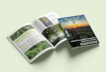 Revista Amazônia edição 153: florestas sob pressão, banho de floresta e o relógio biológico da Amazônia