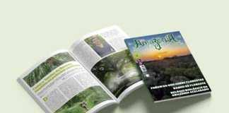 Revista Amazônia edição 153: florestas sob pressão, banho de floresta e o relógio biológico da Amazônia