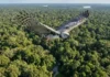 Casal de gavião-real exige extensas áreas de floresta contínua para manter território de caça e garantir sobrevivência