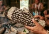 Formiga-tucandeira possui picada de alta intensidade dolorosa e integra rito de passagem tradicional do povo Sateré-Mawé