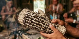 Formiga-tucandeira possui picada de alta intensidade dolorosa e integra rito de passagem tradicional do povo Sateré-Mawé