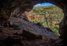 Cavernas da Serra dos Carajás guardam formações de ferro de um bilhão de anos e atraem espeleólogos de diversos países