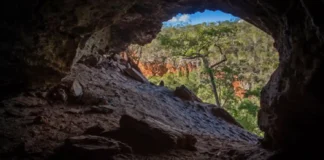 Cavernas da Serra dos Carajás guardam formações de ferro de um bilhão de anos e atraem espeleólogos de diversos países
