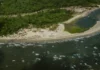 Praia do Pesqueiro em Marajó combina dunas, manguezais e búfalos soltos numa paisagem que só existe na maior ilha fluviomarinha do mundo