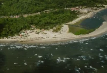 Praia do Pesqueiro em Marajó combina dunas, manguezais e búfalos soltos numa paisagem que só existe na maior ilha fluviomarinha do mundo