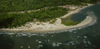 Praia do Pesqueiro em Marajó combina dunas, manguezais e búfalos soltos numa paisagem que só existe na maior ilha fluviomarinha do mundo