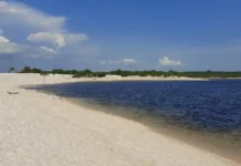 Rio Arapiuns exibe águas de transparência cristalina que revelam o fundo de areia branca a vários metros de profundidade na Amazônia