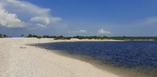 Rio Arapiuns exibe águas de transparência cristalina que revelam o fundo de areia branca a vários metros de profundidade na Amazônia