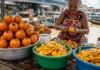 Superfruto da Amazônia: tucumã supera a cenoura em níveis de betacaroteno e consolida-se como patrimônio calórico e cultural nas feiras do Pará