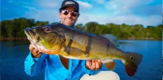 Pescadores artesanais do Rio Tapajós estruturam turismo de base comunitária com foco na pescaria esportiva do tucunaré e culinária de raiz