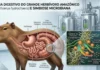 A usina invisível da floresta bactérias intestinais da fauna amazônica abrem novas fronteiras para a biotecnologia industrial