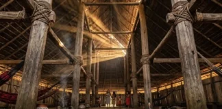 Arquitetura ancestral dos povos Yanomami e Tukano une ciência dos materiais tropicais à cosmologia ecológica das florestas.