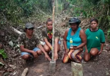 Como os relatos de guerreiras indígenas na floresta deram o nome da mitologia grega ao grandioso rio Amazonas