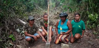 Como os relatos de guerreiras indígenas na floresta deram o nome da mitologia grega ao grandioso rio Amazonas