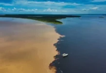 Como a diferença de densidade e temperatura cria a divisão visível no famoso encontro das águas dos rios amazônicos