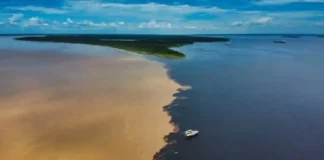 Como a diferença de densidade e temperatura cria a divisão visível no famoso encontro das águas dos rios amazônicos
