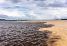 Povo Manaós e bacia do Amazonas guardam segredos sobre a origem do nome de Manaus